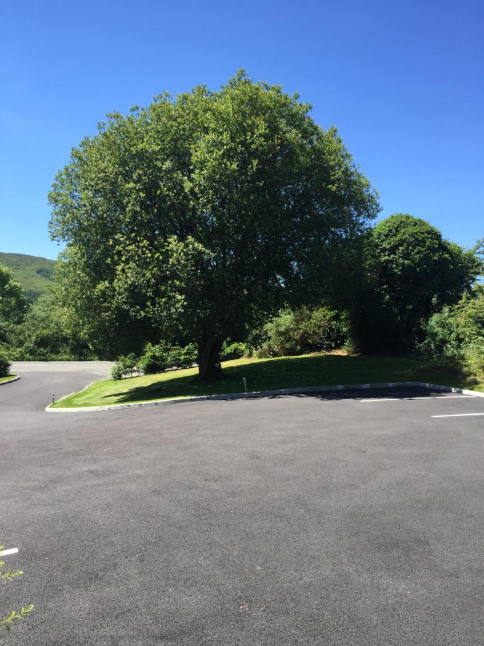 קנמארה 2 Mile Lodge מראה חיצוני תמונה